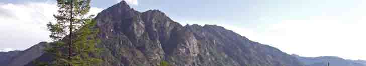 ���� �����������