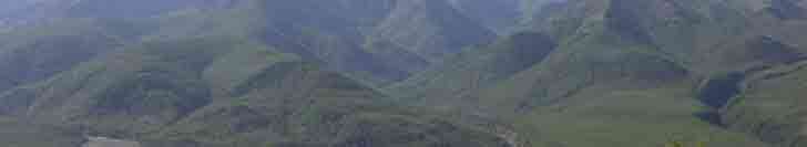 ������ �����������