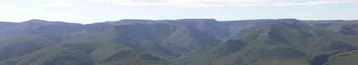 ������������ �����������